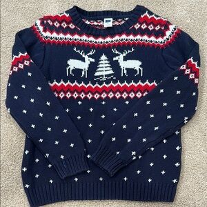 Janie and Jack Blue and Red Crewneck Sweater with Fair Isle Design